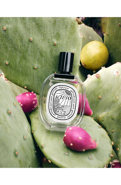 Diptyque Ilio Decant